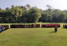 Kegiatan PBB