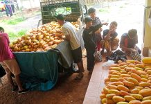Terima Kasih Mas Wanto Pandansari Kejobong
